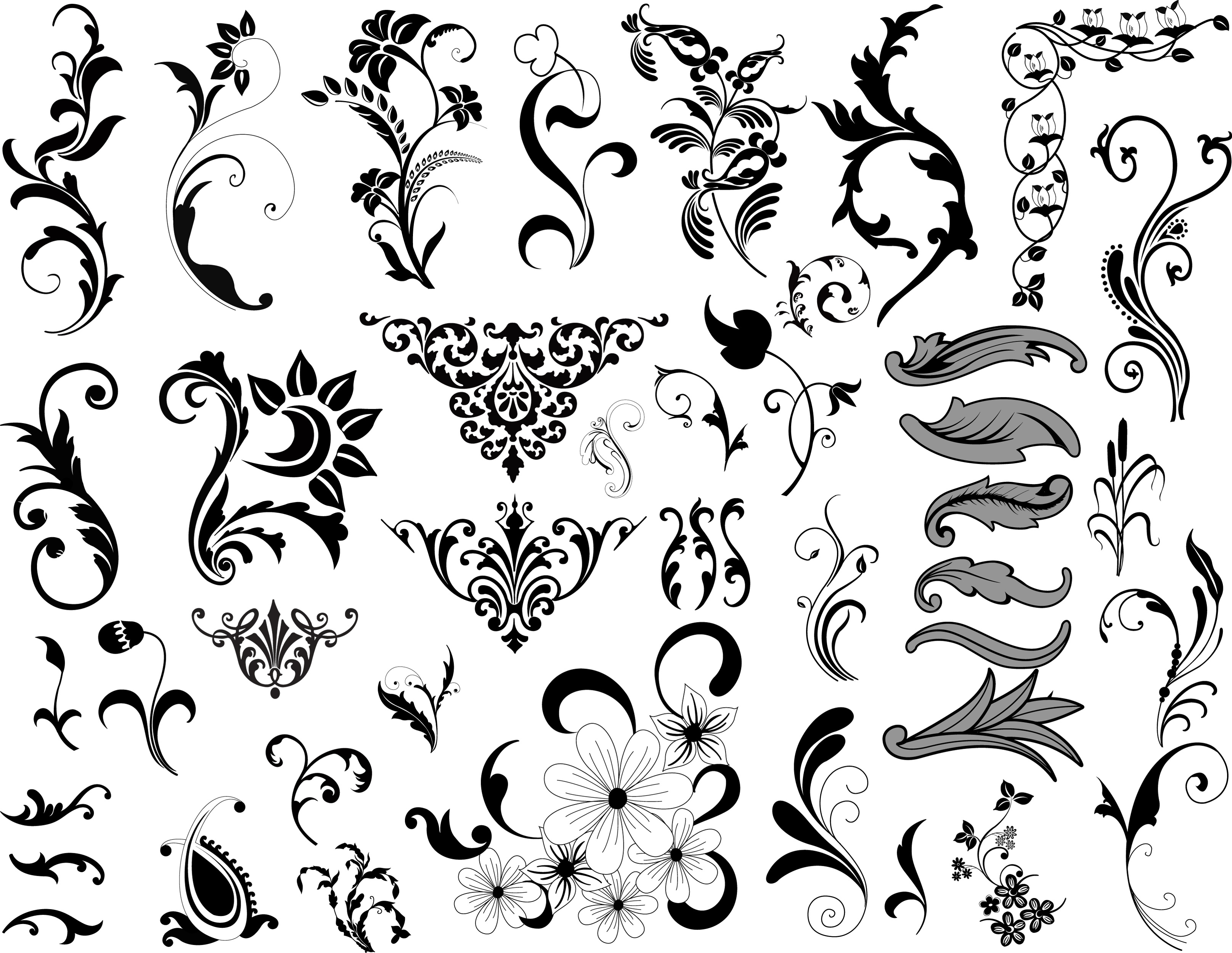 Victorian Floral Vector