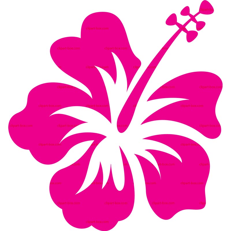 White Hawaiian Flowers Clip Art
