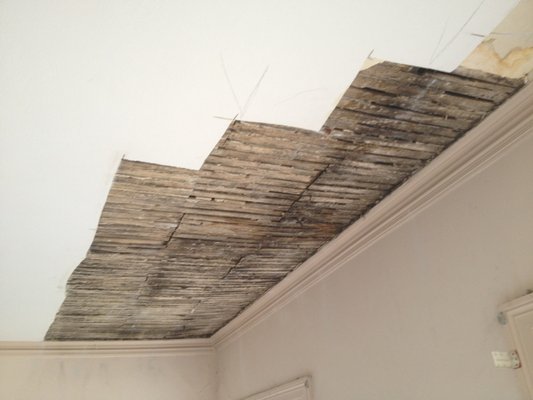 Wood Lath Plaster