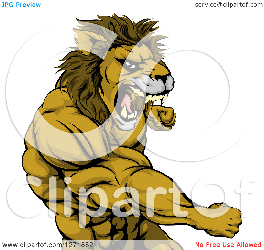 12 Muscular Lion Vector Art Images