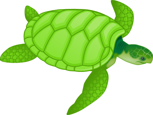 Cartoon Sea Turtle Clip Art