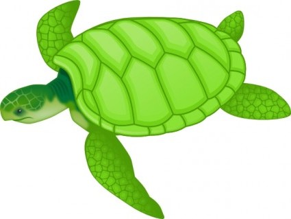 Green Sea Turtle Clip Art