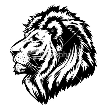 Lion Head Illustration