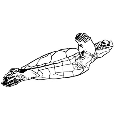 Sea Turtle Silhouette Vector