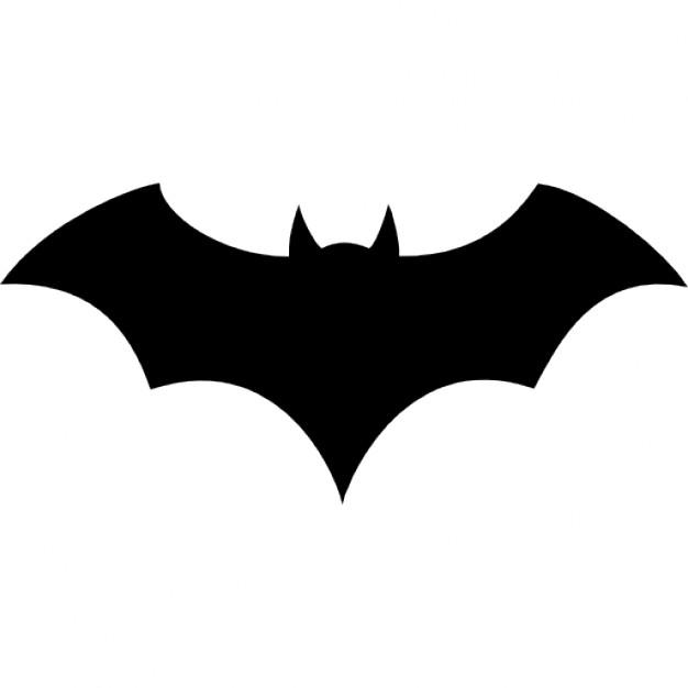 Black Bat Silhouette
