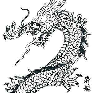 Japanese Dragon Vector Art