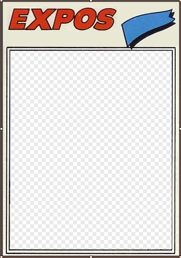 Topps Baseball Card Template