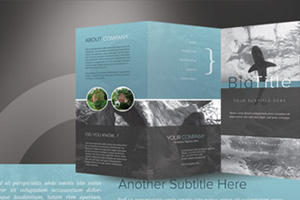 Adobe Photoshop Brochure Template Adobe Photoshop Brochure Template