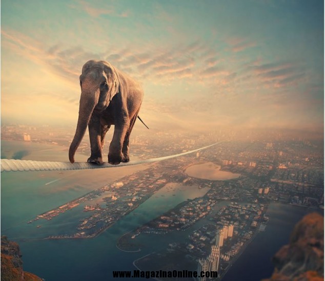 Amazing Photoshop Art