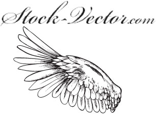 Angel Wings Vector Art Free