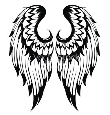 Angel Wings Vector