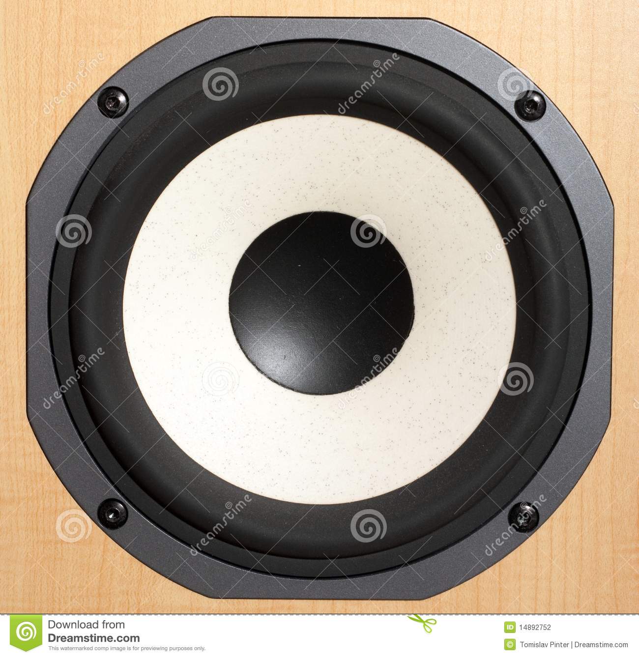 Bass Speakers