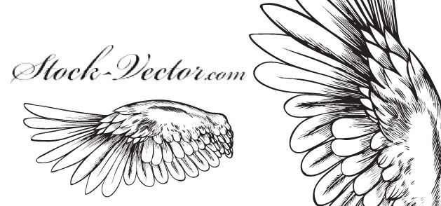 Black And White Angel Wings Clip Art