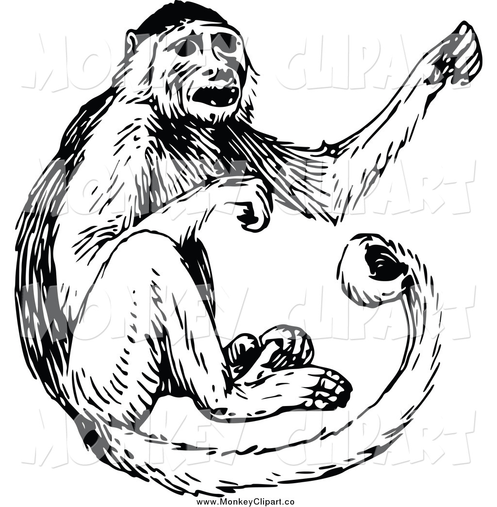 Black and White Monkey Clip Art