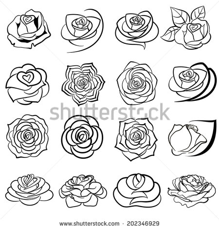 Black Rose Flower Vector