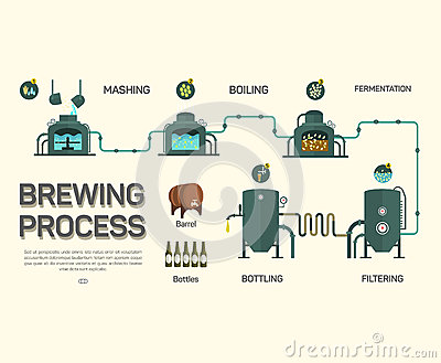 Brewing Process Infographic