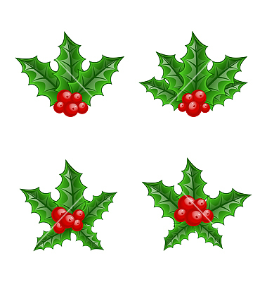 Christmas Holly Berry Vector Art