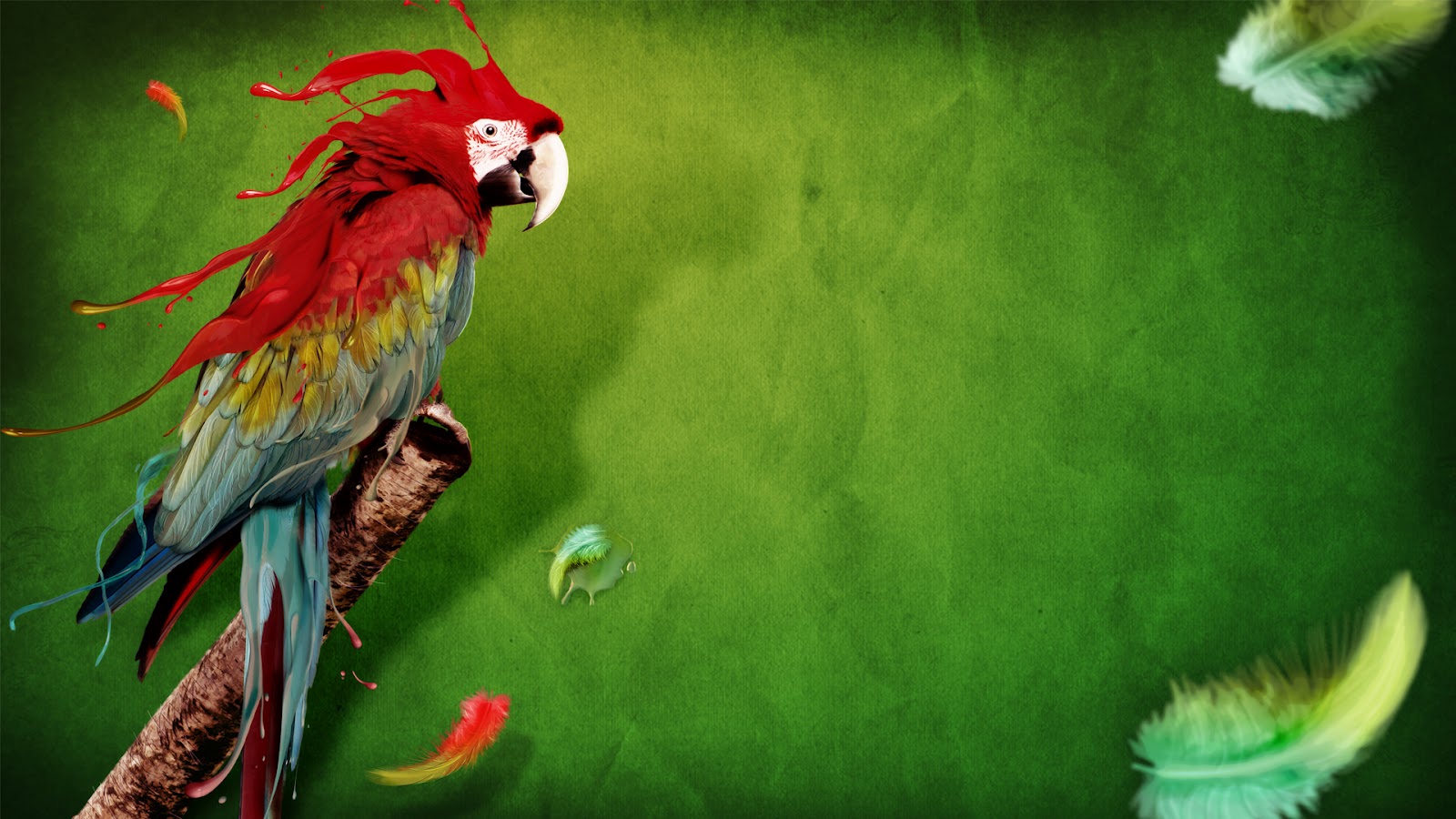 Color Splash Parrot