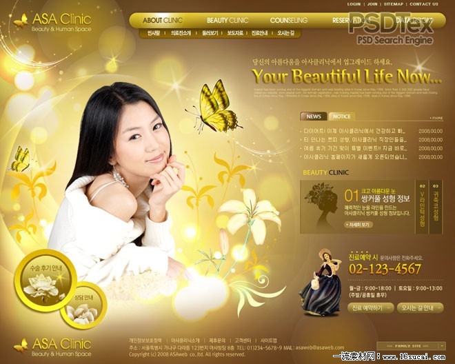 Cosmetic Website Templates Cosmetic Website Templates