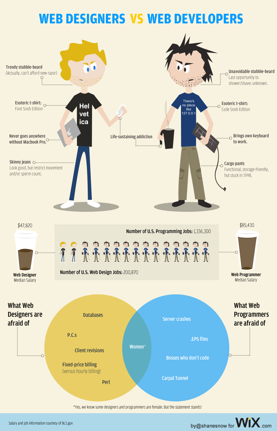 Designers vs Web Developers