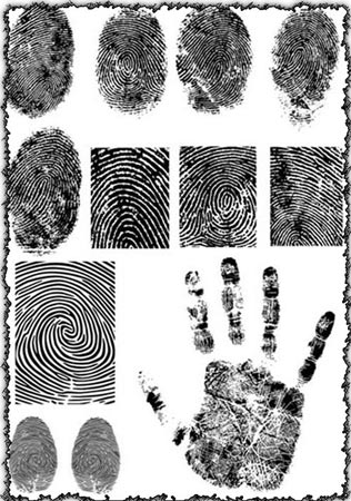 Fingerprint Graphic