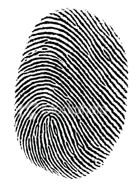 Fingerprint Vector