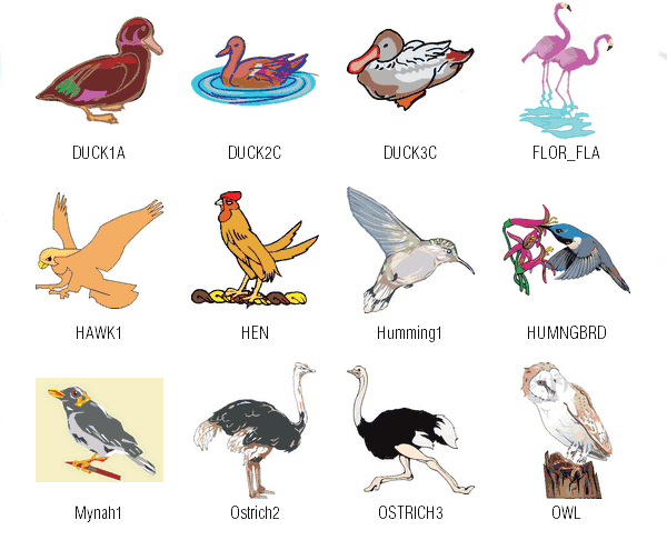 Free Bird Clip Art