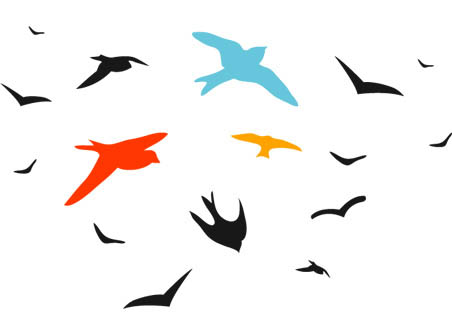 Free Bird Vector Graphics