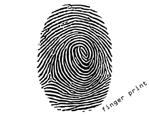 Free Fingerprint Vector Art