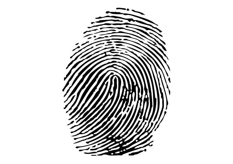 16 Fingerprint Vector Image EPS Images