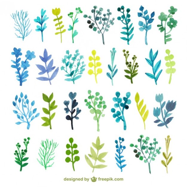 9 Watercolor Leaves Vector Images