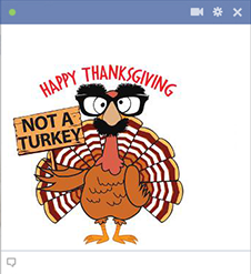 Funny Turkey Thanksgiving Emoticons
