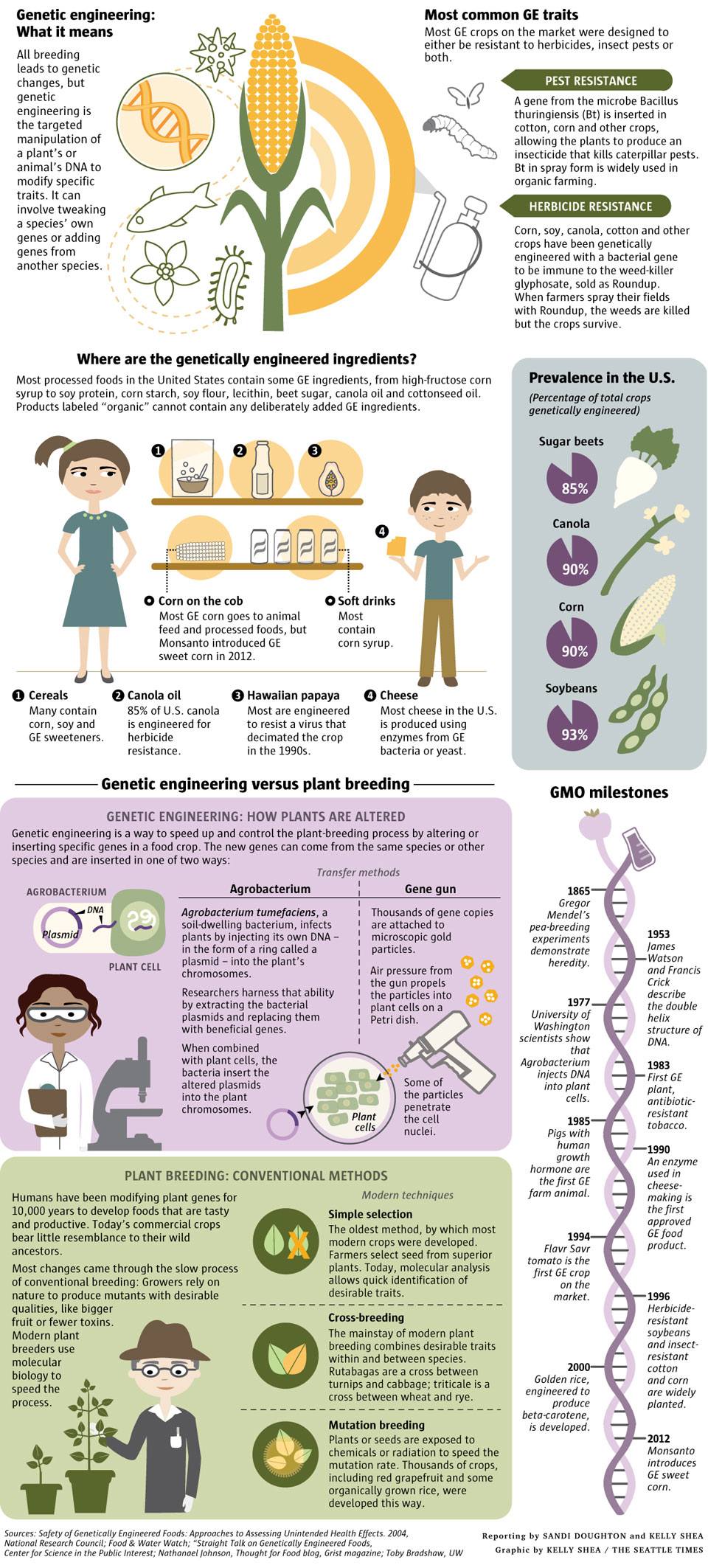 Genetic Engineering Infographic