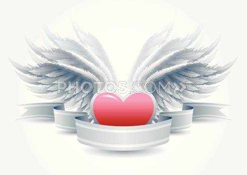 Heart Angel Wings Vector