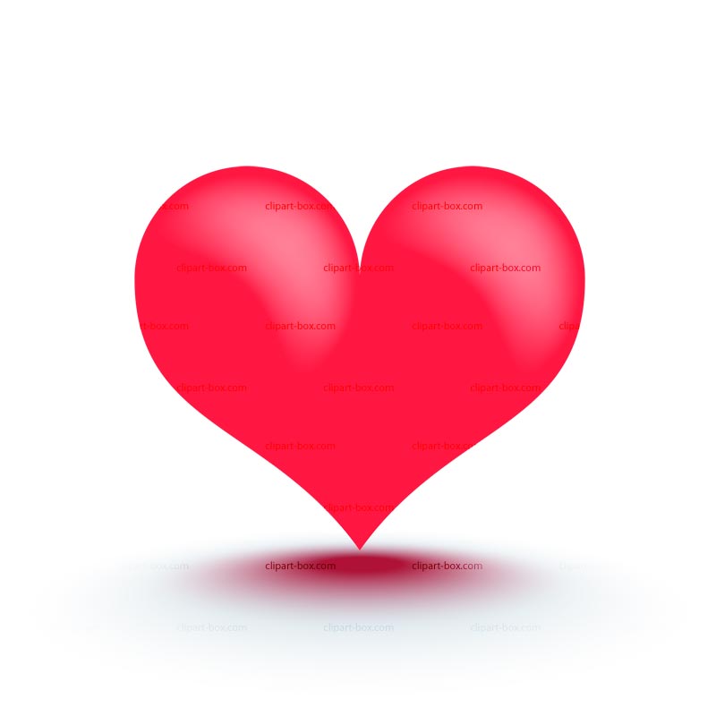 Heart Vector Icon