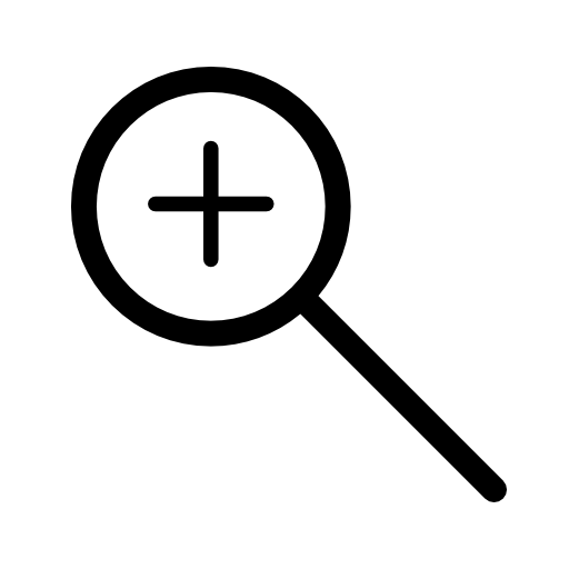 Icon with Magnifying Lens