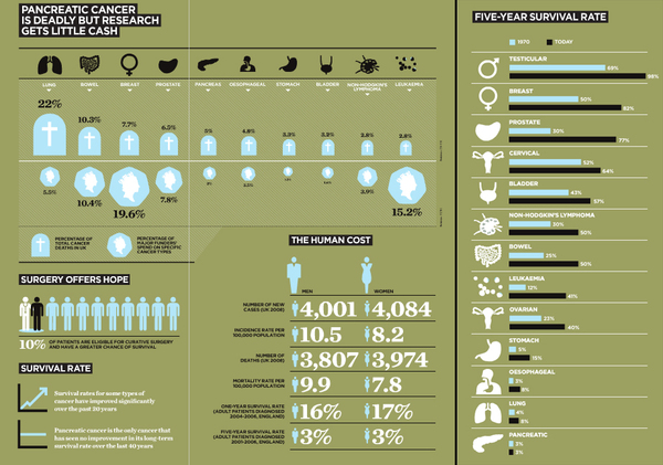 Infographic Design Inspiration