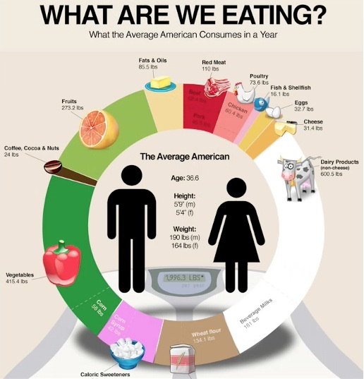 Infographics Examples