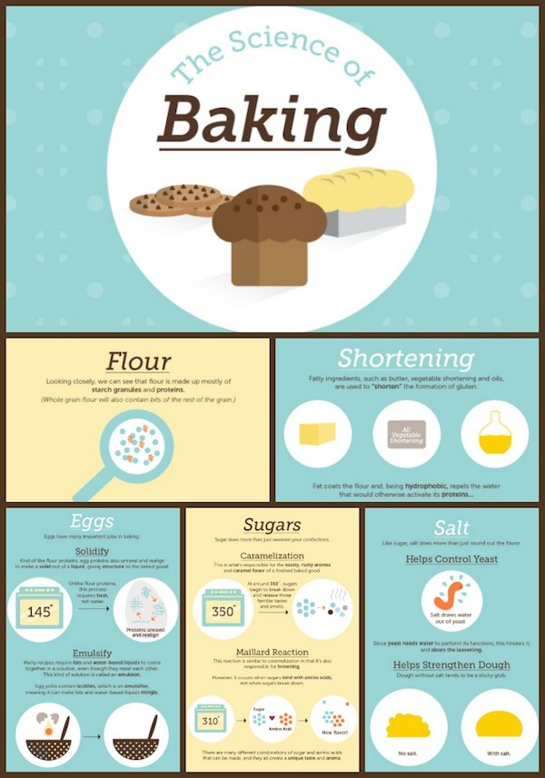 Life Science Infographics