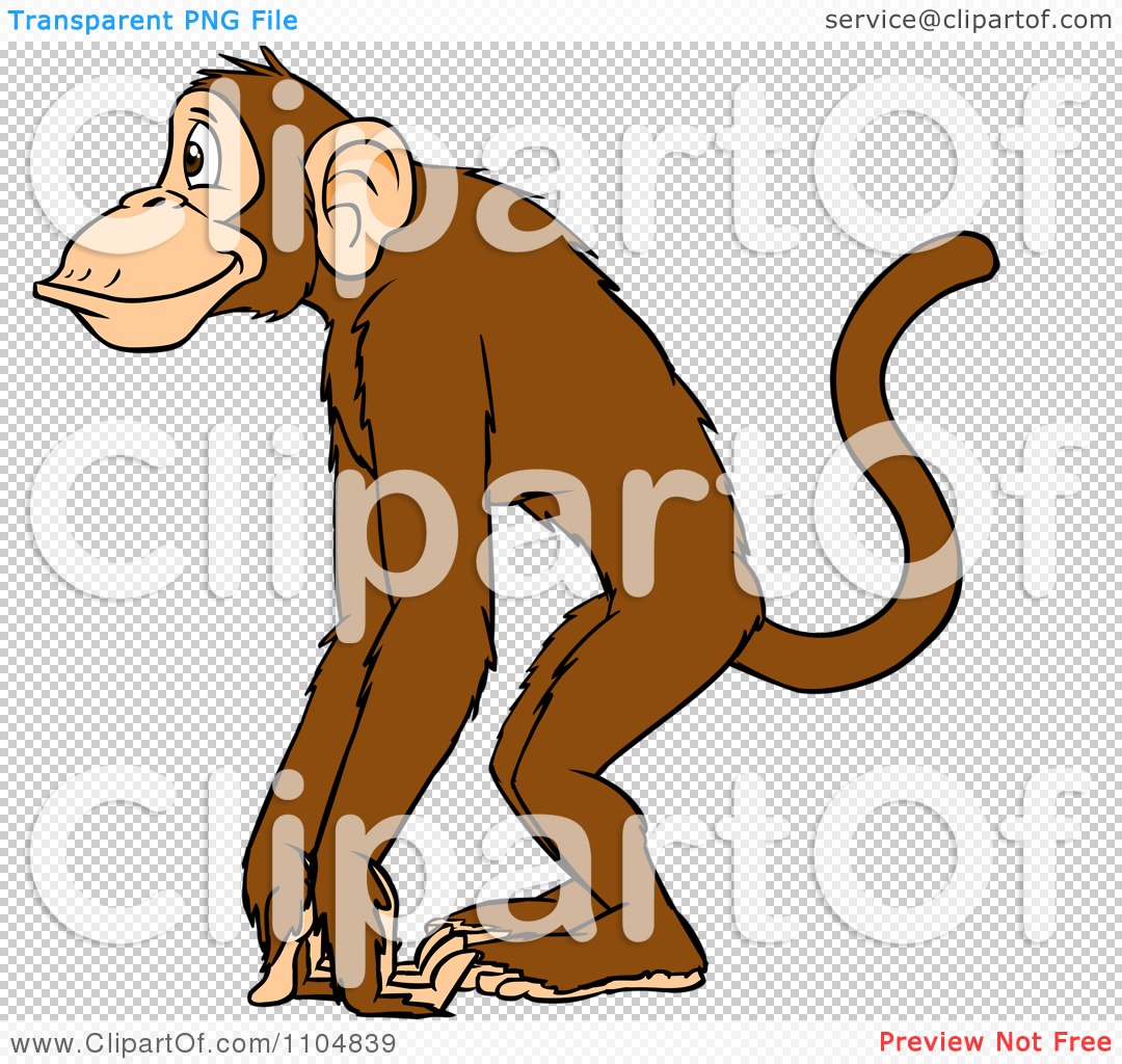 Monkey Clip Art