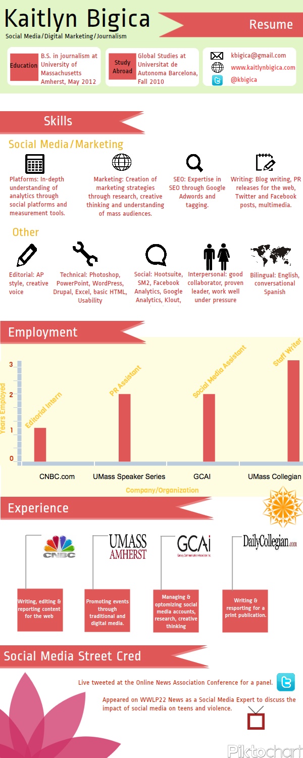 My Resume Infographic