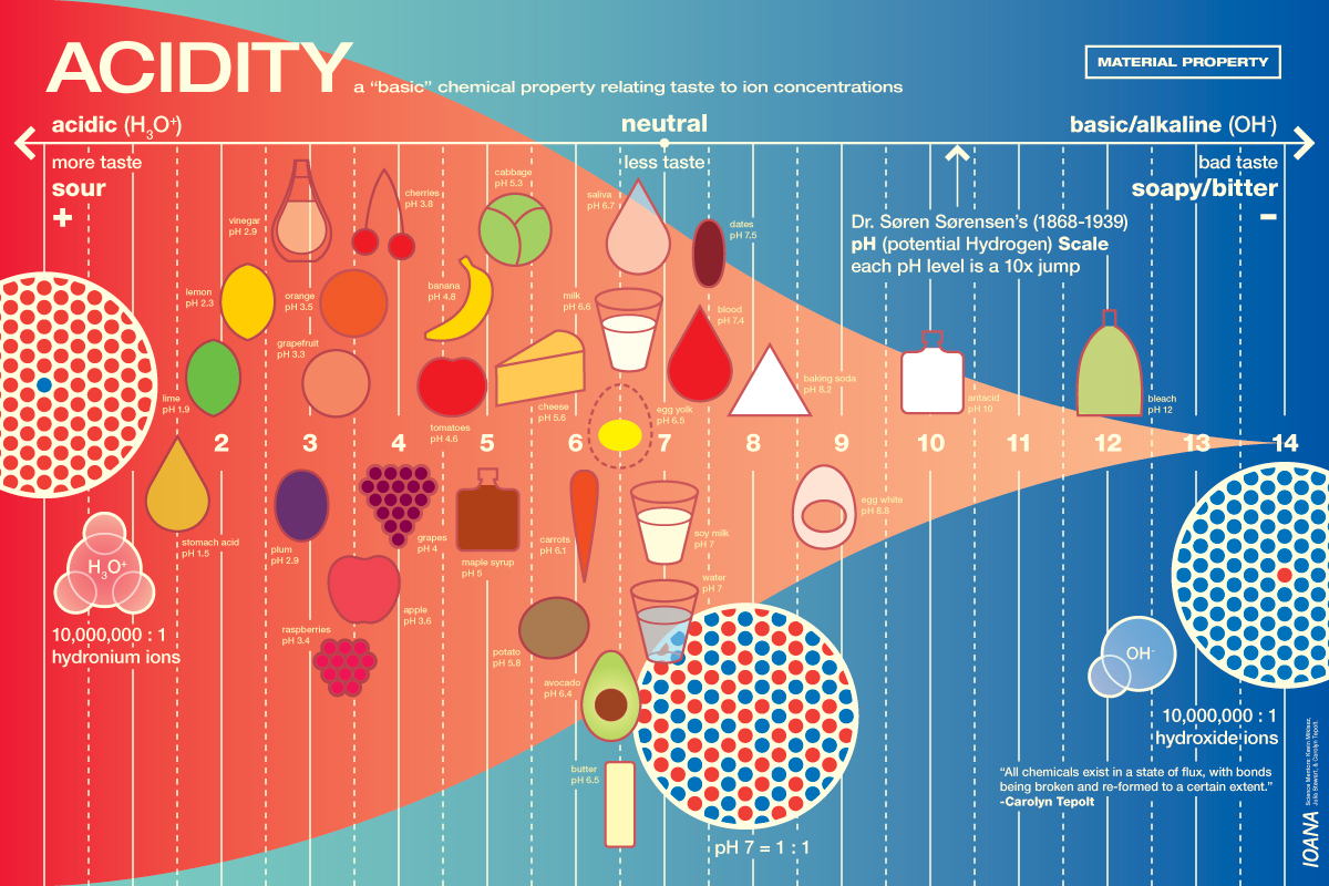 On the Ph Scale Foods