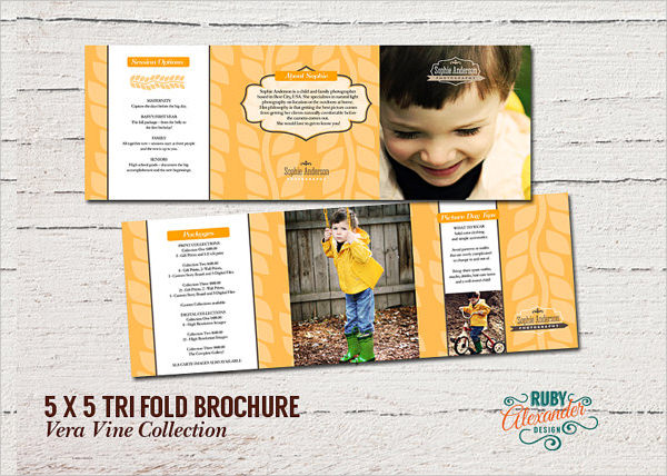 Photoshop Tri-Fold Brochure Templates Free Download