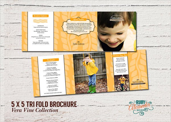 Photoshop Tri-Fold Brochure Templates Free Download Photoshop Tri-Fold Brochure Templates Free Download