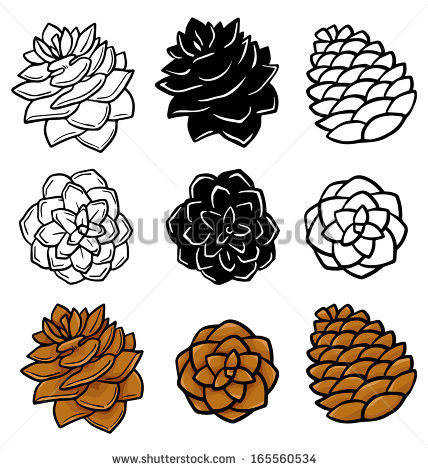 14 Free Vector Holly Pine Cone Images