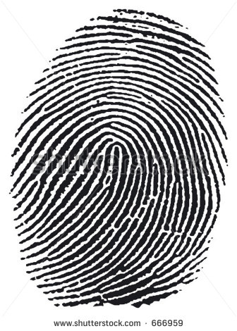 Transparent Fingerprint Vector
