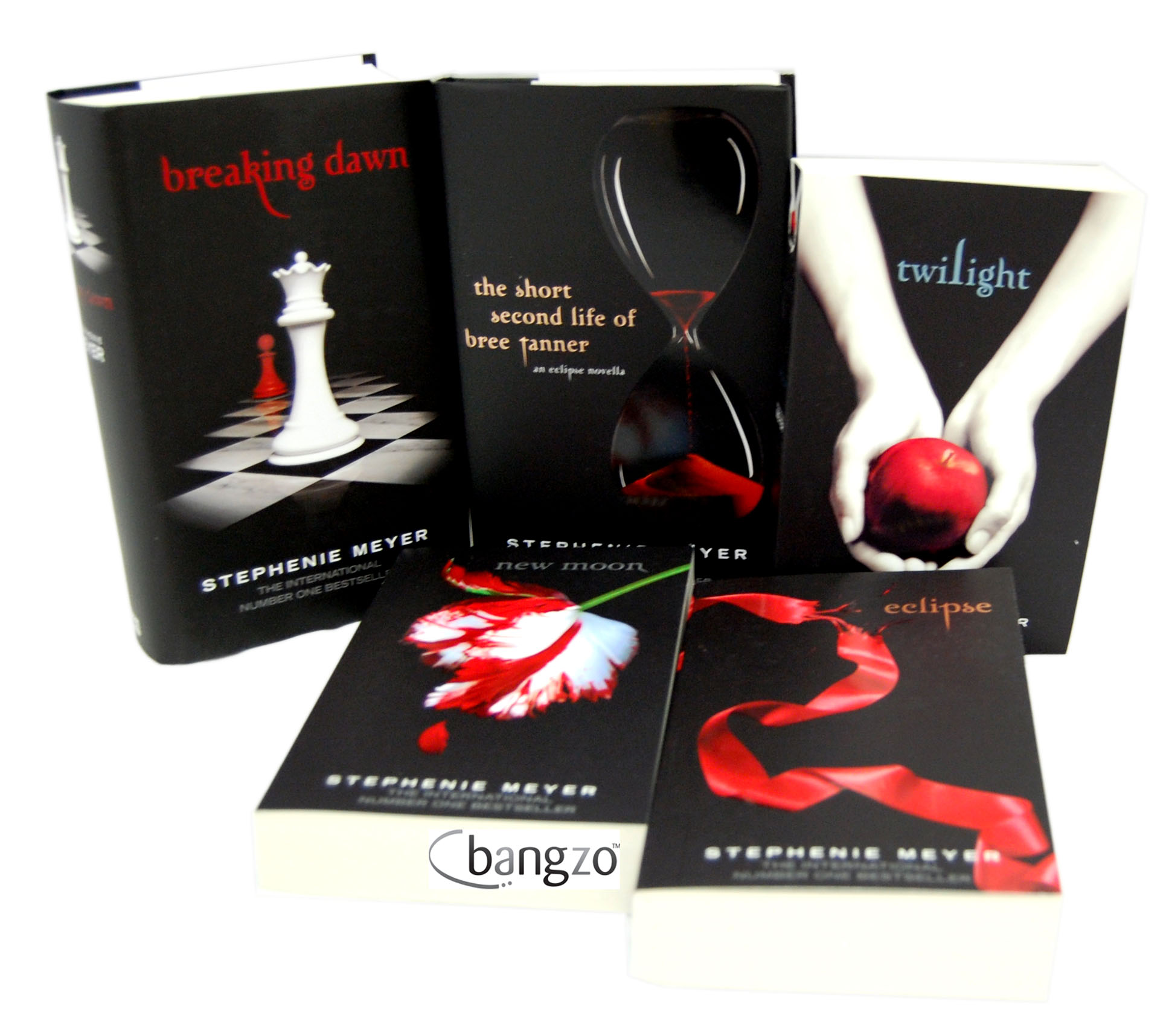 Twilight Saga Book Set Twilight Saga Book Set