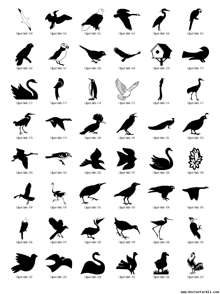 Vector Bird Clip Art