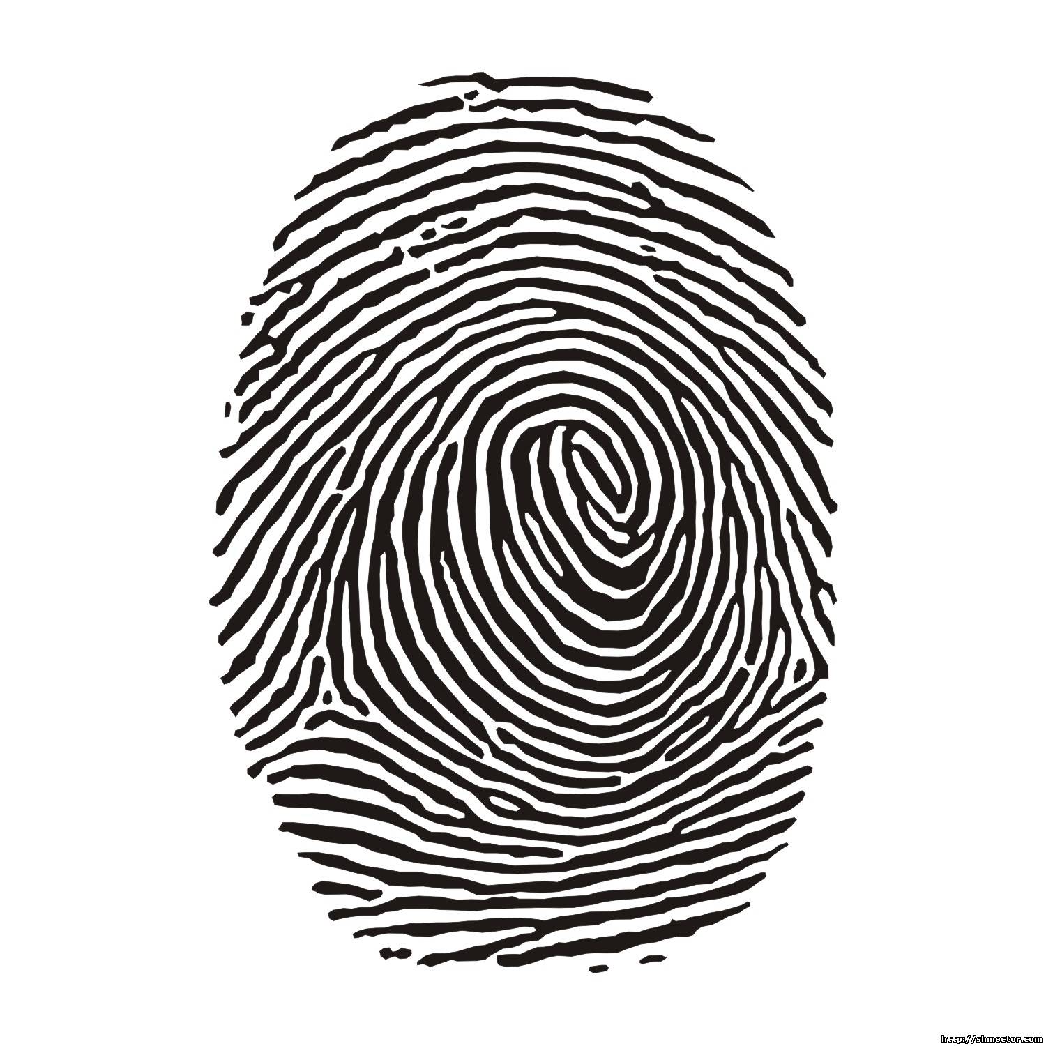 16 Fingerprint Graphic Vector Images