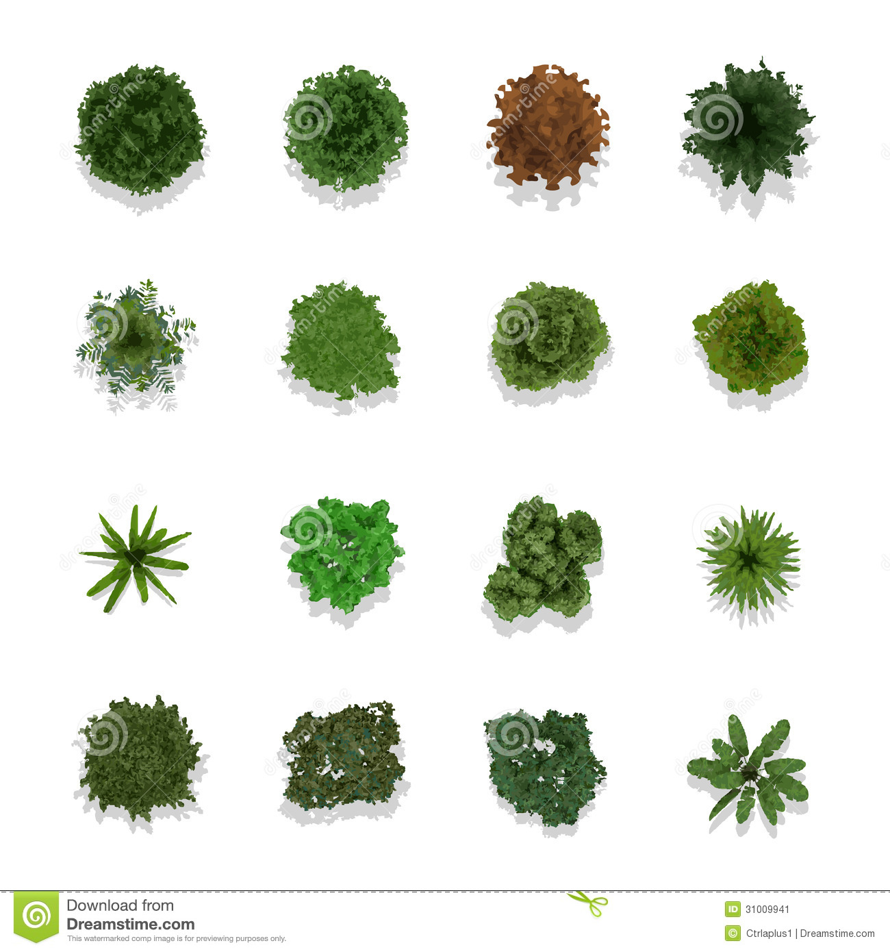 Vector Top View Trees Plans Vector Top View Trees Plans